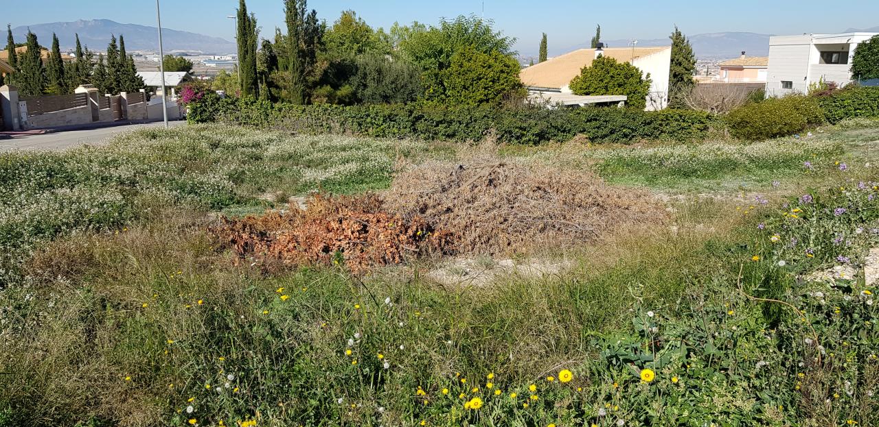 09-01-2019_20190105_131350 - copia.jpg